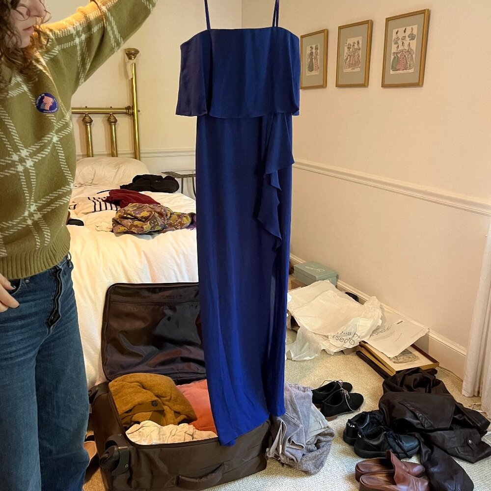 BCBG Felicity Blue Strapless Dress